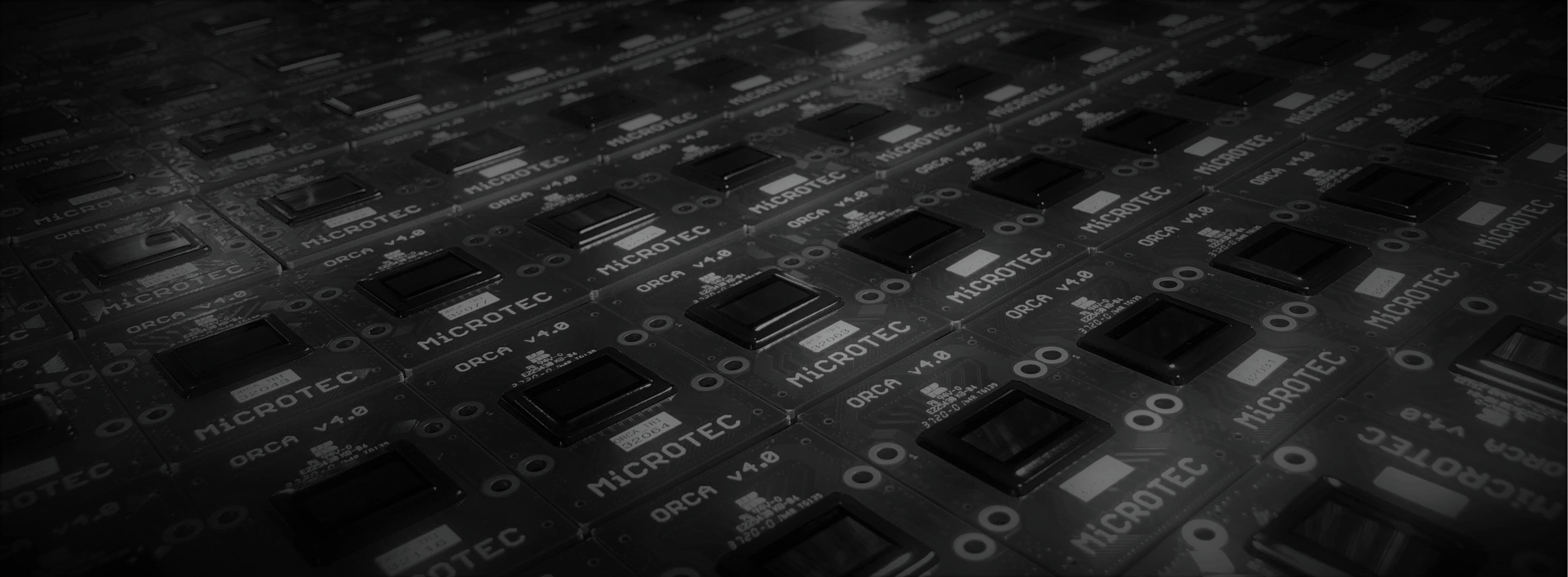 100% Service Guarantee