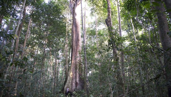 Logeye Stereo: on the road to success also in Africa