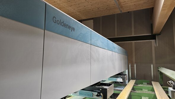 Goldeneye Transverse: Lo scanner indipendente dal tempo e dall'umore