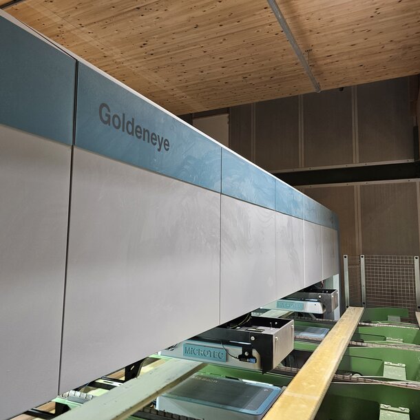 Goldeneye Transverse: Unabhängig von Tageszeit und Stimmungslage