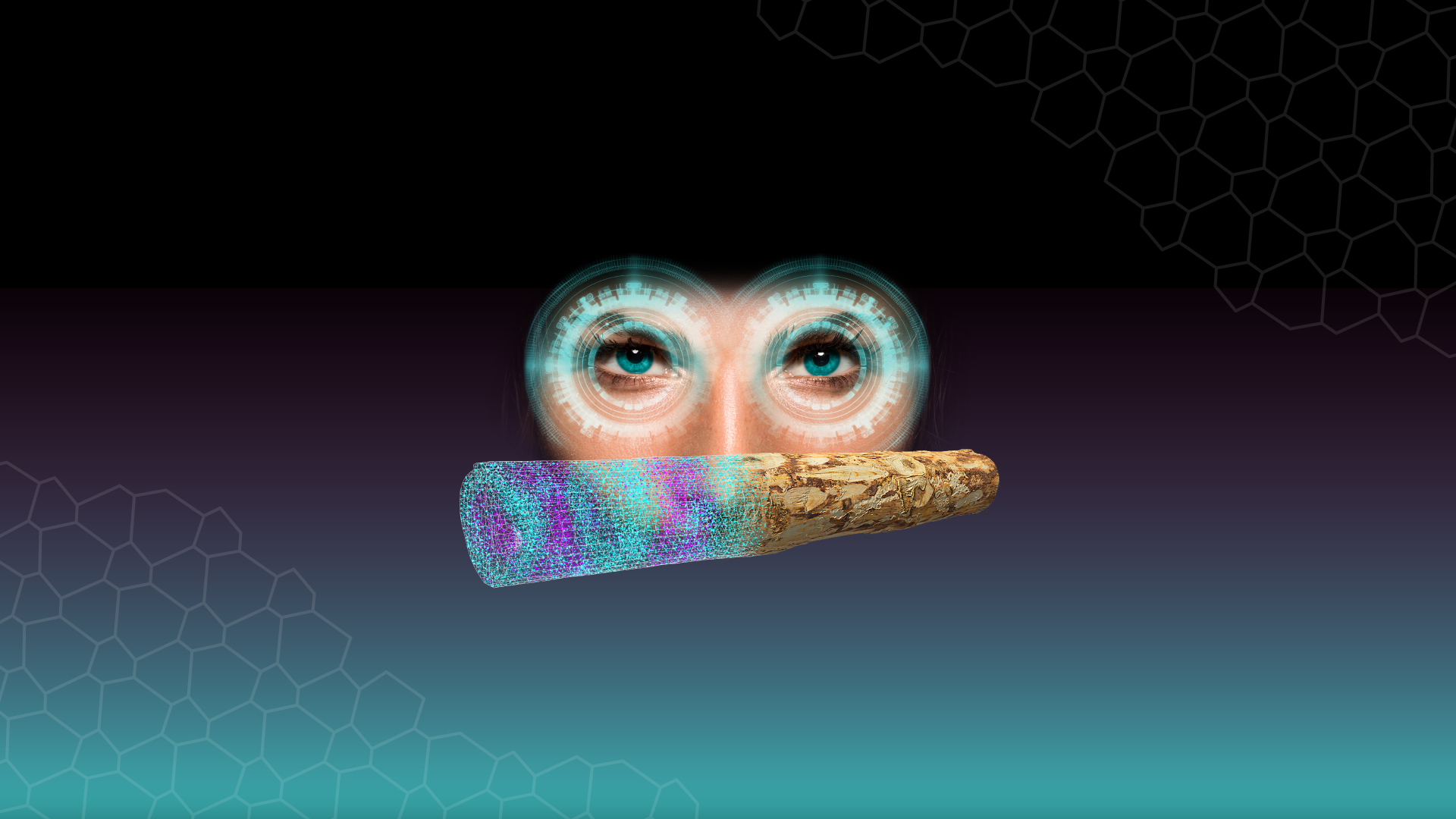 One Eye sees. Two Eyes deliver ROI.