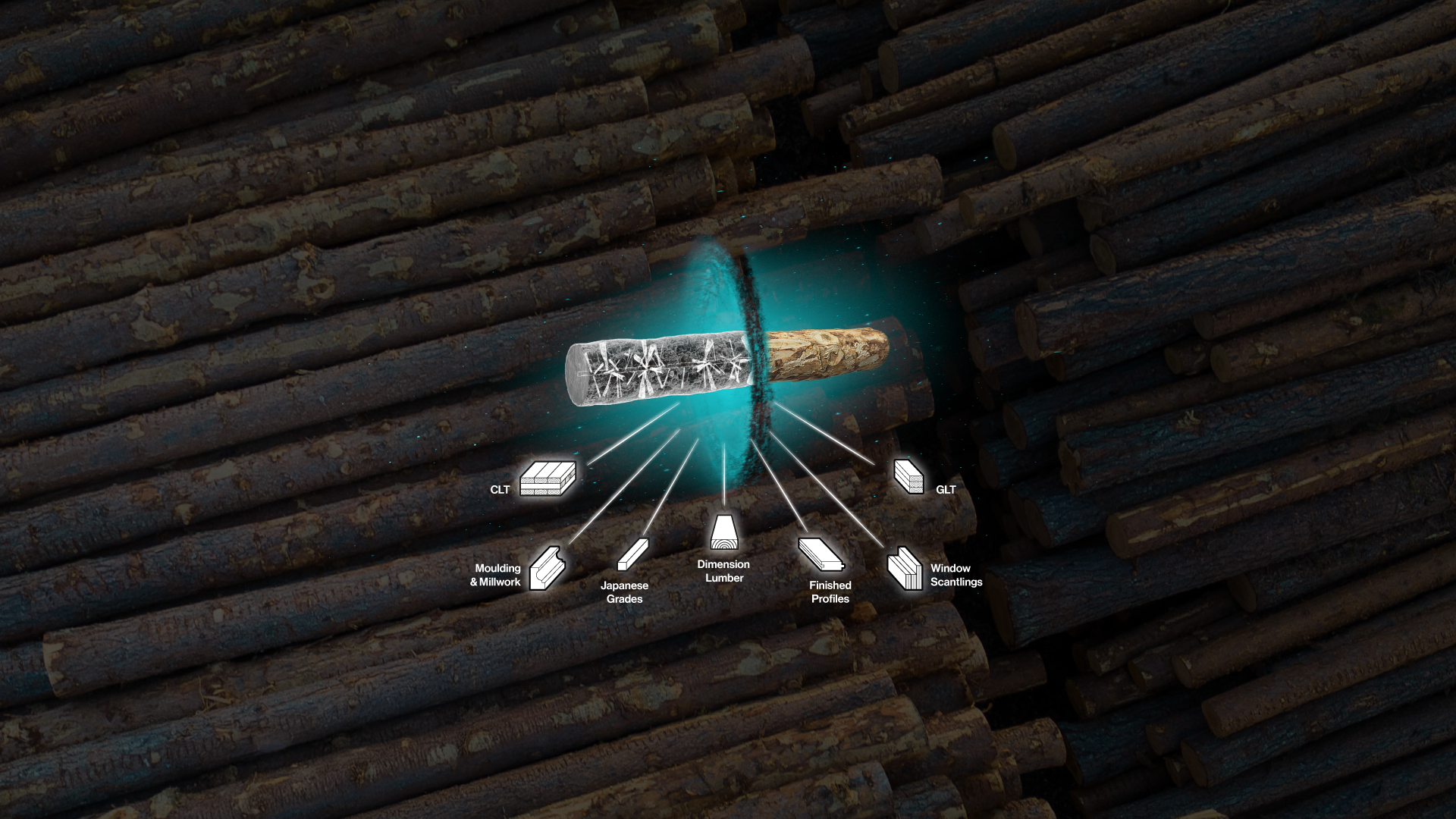 Early Log Scanning & Sorting for Canada's Sawmills