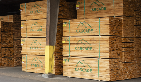 Jon Syre, President of Cascade Hardwoods