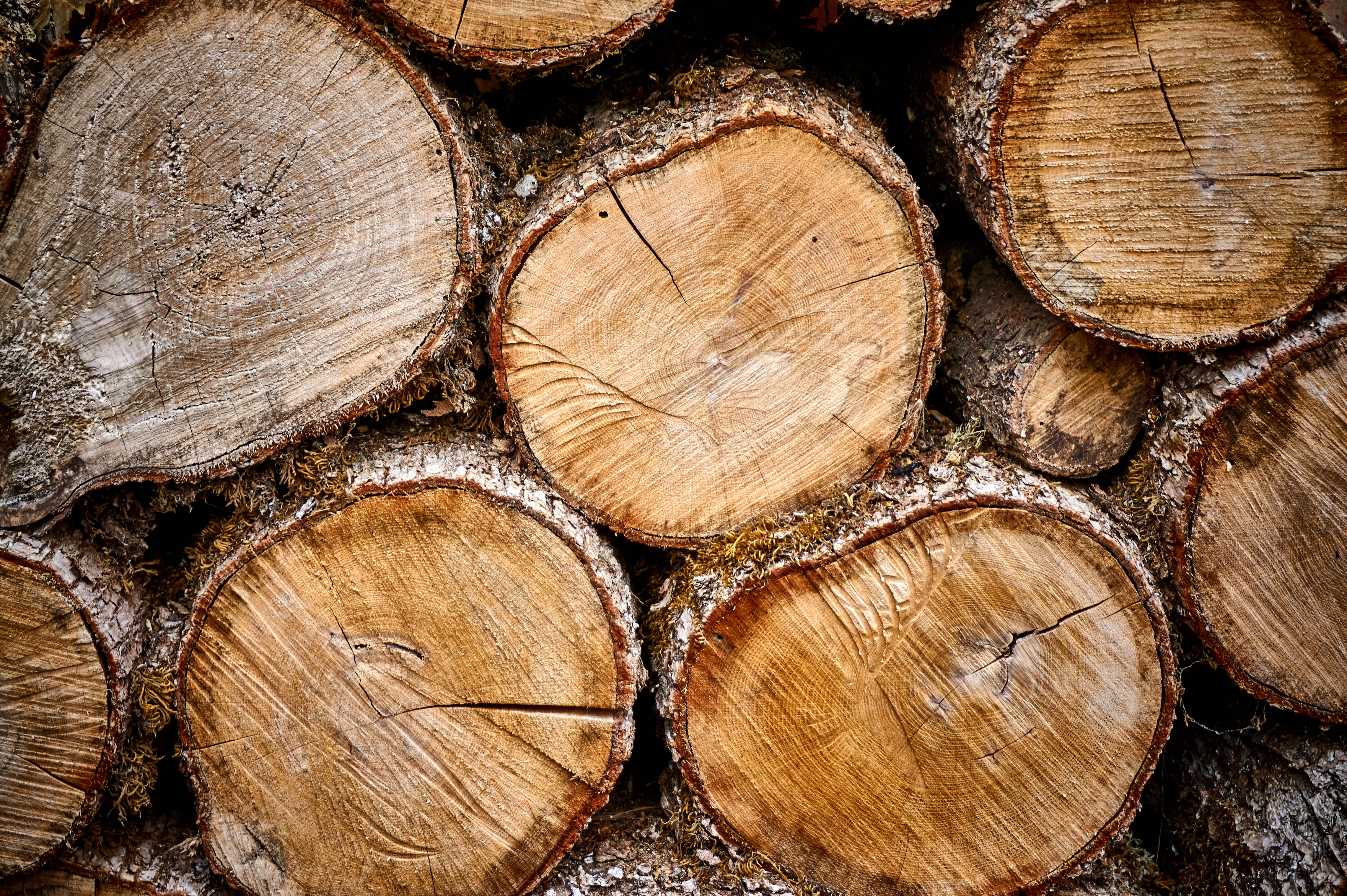 Reaction to Market Changes