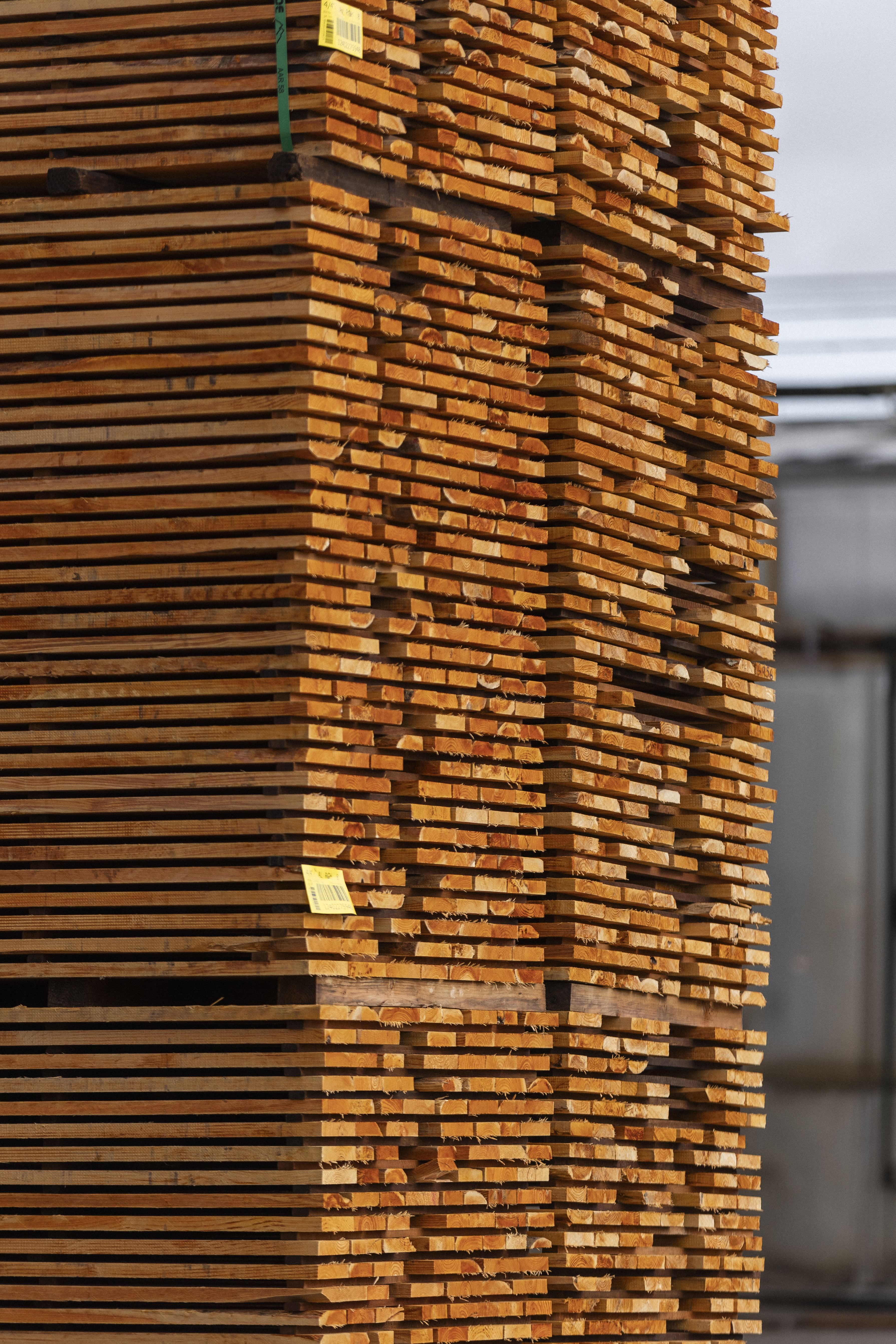 Log Sorting and Cost