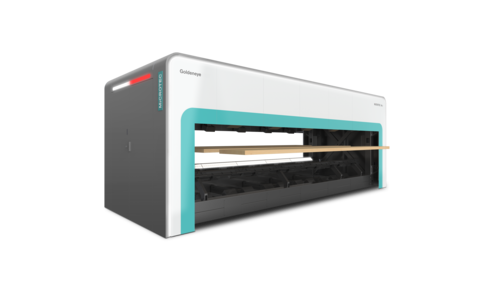 Goldeneye Transverse