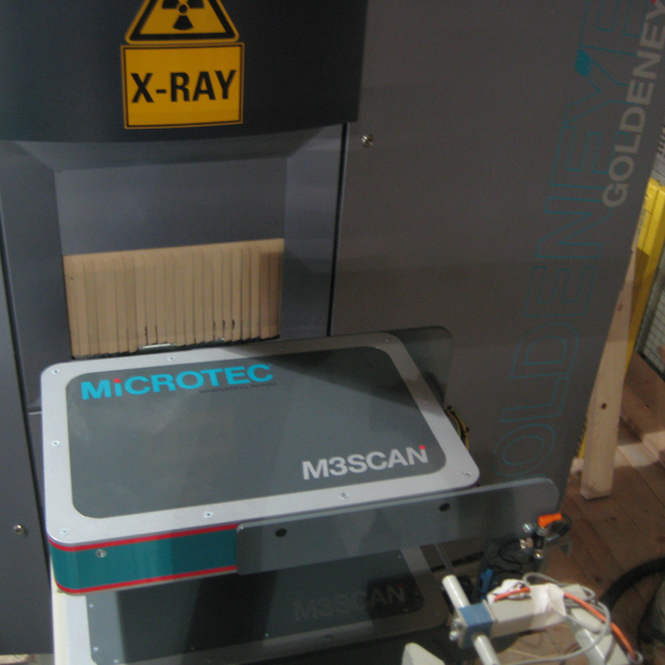 Certified Strength Grading with Goldeneye 702 in Switzerland