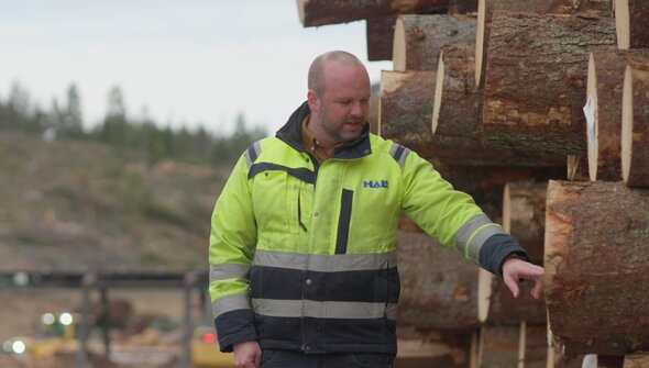 Logeye: Hilmer Andersson