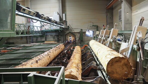 Logeye Stereo: Full-contour measurement optimizes the cut