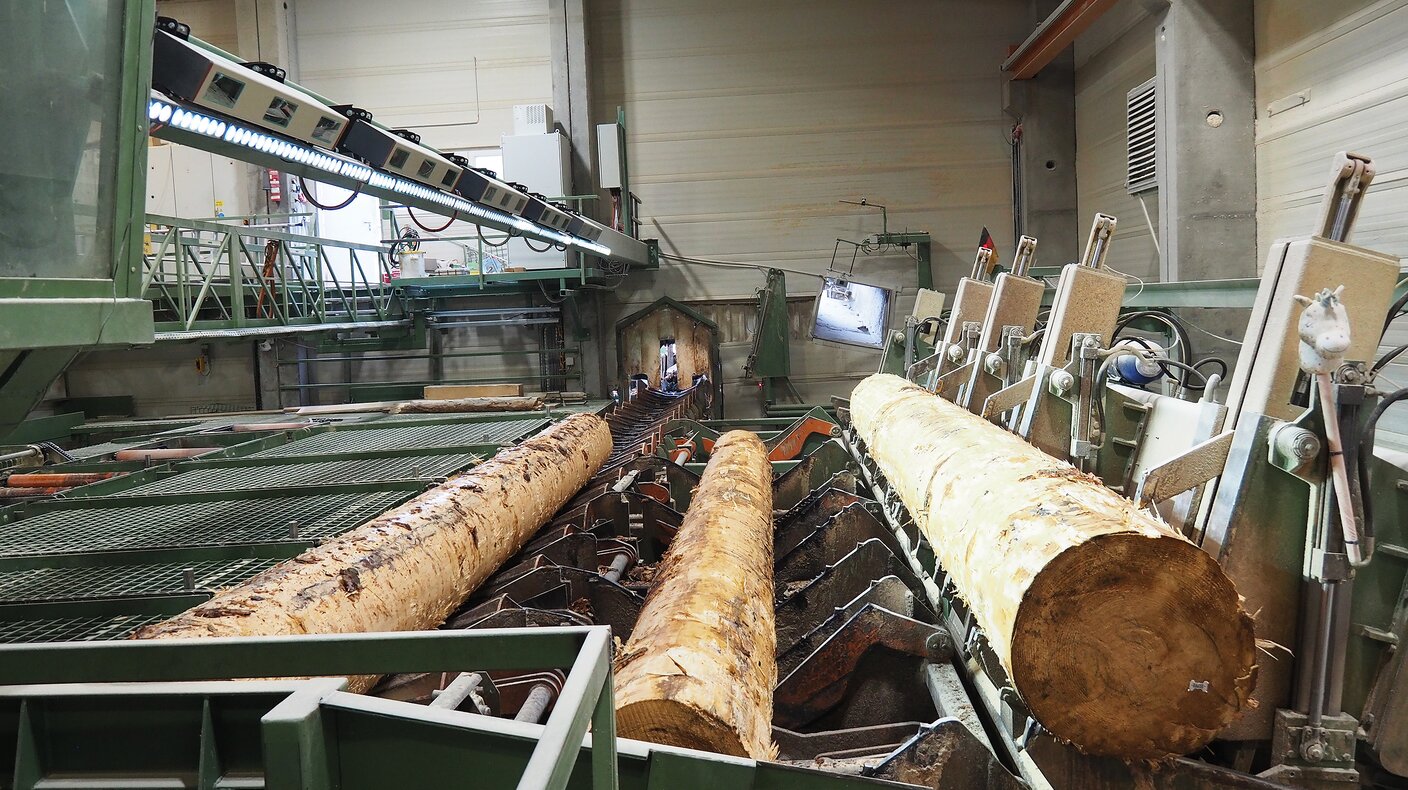 Logeye Stereo: Full-contour measurement optimizes the cut