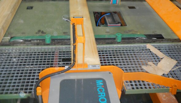 Viscan Plus for green sorting in strength classes