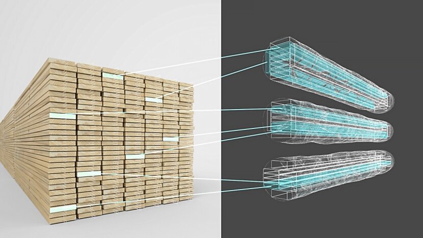 MiCROTEC Connect: Europe’s most productive sawmill