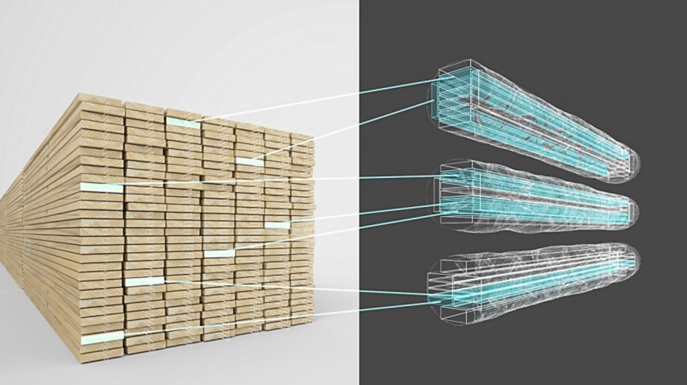 MiCROTEC Connect: Europe’s most productive sawmill