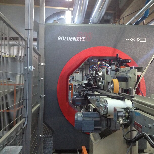 Erster Goldeneye in Rumänien