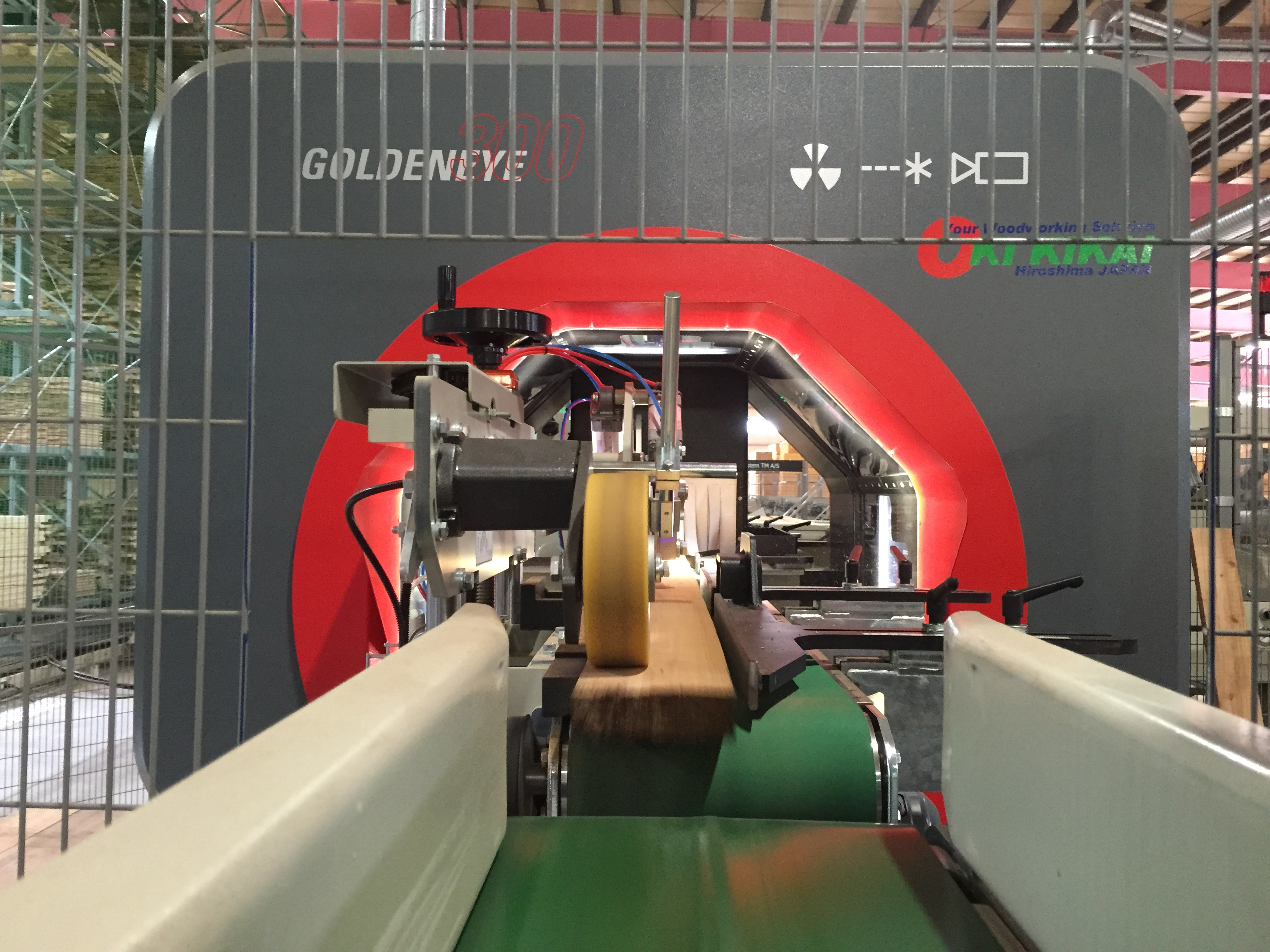 Yoshida: First Goldeneye in Japan