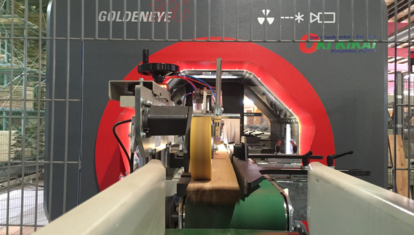 Yoshida: First Goldeneye in Japan