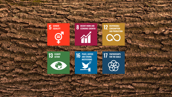 ESG Principles