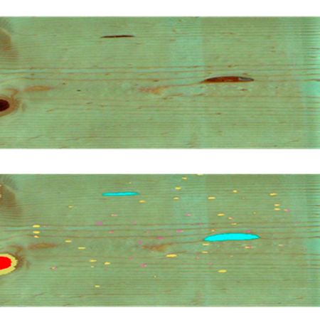 Artificial Vision based on heuristic processes