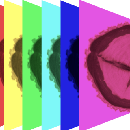 Hyperspectral Imaging